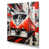 Toile tendue
