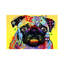 Pug by Dean Russo - Print on Canvas-56677581-29383284