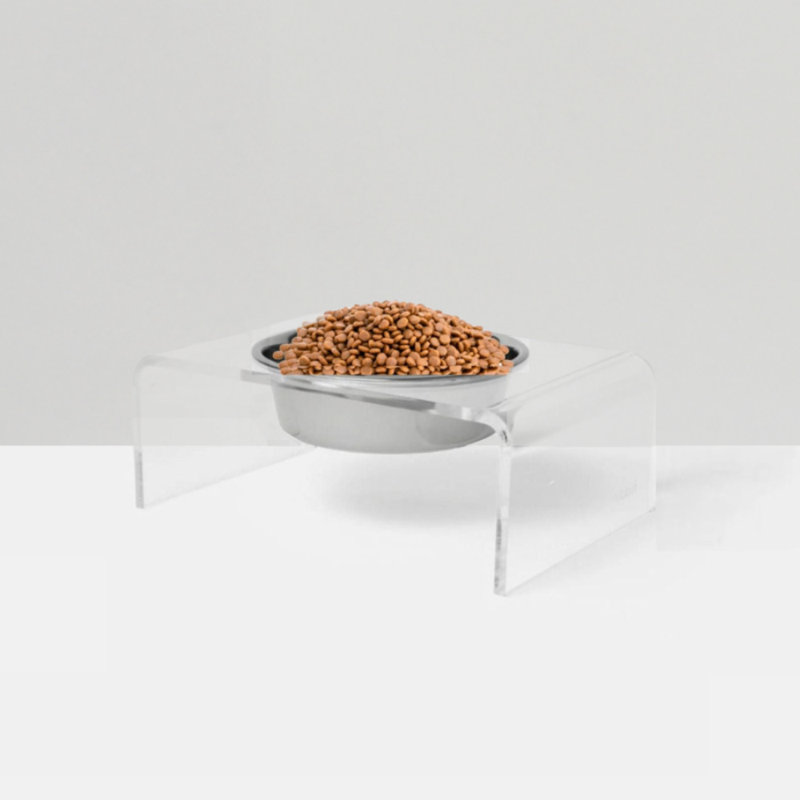 Single Bowl Elevated Feeder with Bowl, Silver, Clear