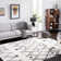 Alieshia Berber Shag Performance Geometric Rug