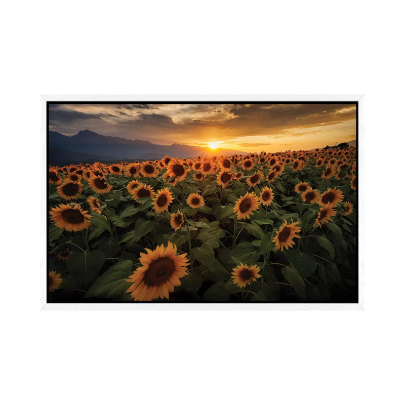 Summer In Japan XIII by Daisuke Uematsu - Print on Canvas, 45.72cm H x 66.04cm W x 3.81cm D, White Framed