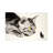 Cat And Mouse by Soo Beng Lim - Wrapped Canvas Gallery-Wrapped Canvas Giclée-759240296