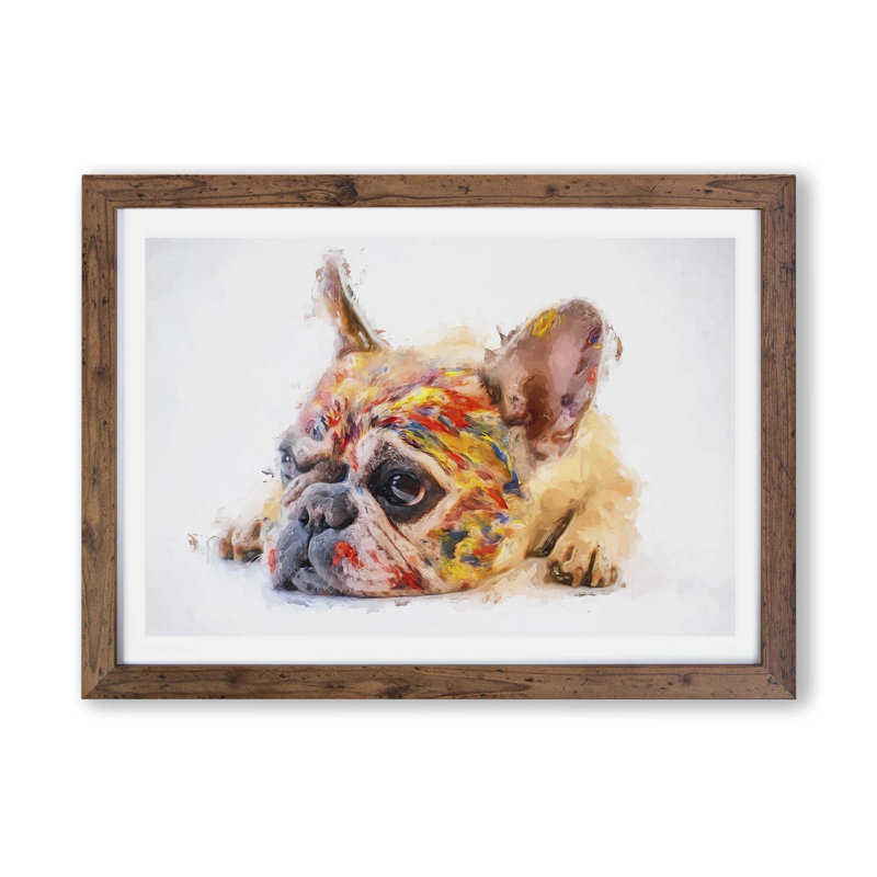 Painted French Bulldog - Framed Print, 62cm H x 87cm W x 2cm D, Walnut