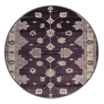 Machine Washable Overdyed Brown Area Rug