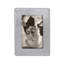 Beaded Metal Picture Frame-1892273565