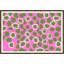 Watermark In Pink Giclee Print by Dana Gibson