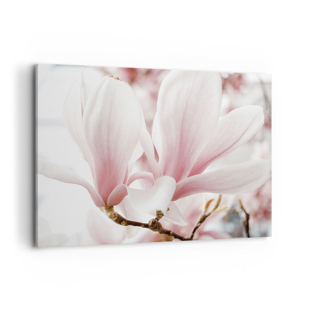 Leinwandbild Twig Magnolia Flower