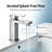 Single Handle Square Bathroom Sink Faucet, One Hole Deck Mount Basin Faucet with Ceramic Cartridge for Bathroom Vanity