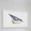 «Nuthatch Bird» par Thimble Sparrow, reproduction encadrée-19555545