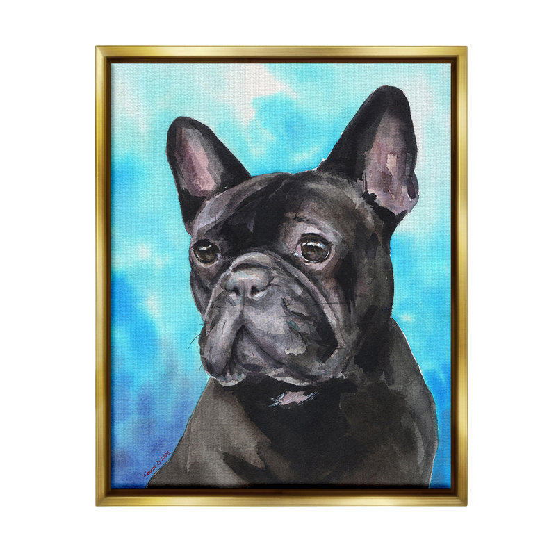 «French Bulldog On Blue» par George Dyachenko sur, Cadre flottant métallique doré, H 31 po x l 25 po