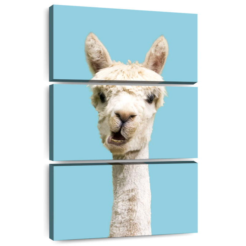 Brampt White Funny Alpaca, 65" H x 42" W