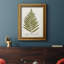 «Nature Printed Ferns II», reproduction sur toile encadrée-2115138311