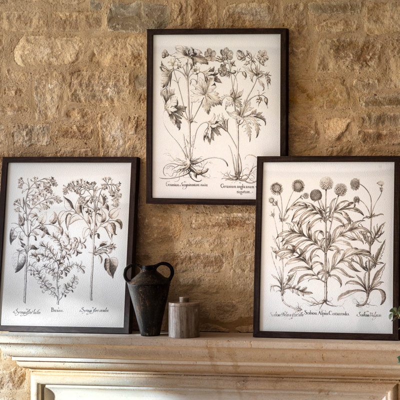 Evergreen Framed Art