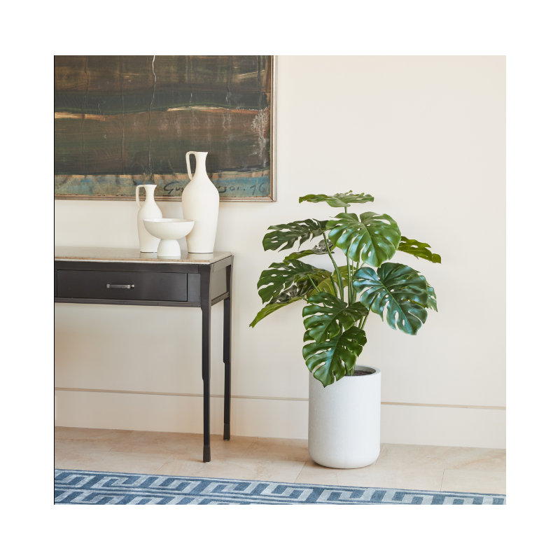 ARBRE MONSTERA POT 4 pi
