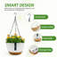 Elevated Planter-101152243