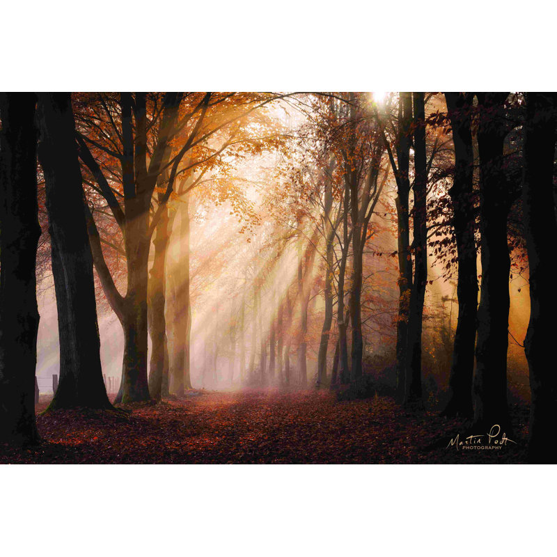 «Look for the Light in All Things», peinture sur toile tendue, H 8 po x l 12 po