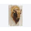 « western american animal study iii », reproduction sur toile-28957196-74616782-74616787