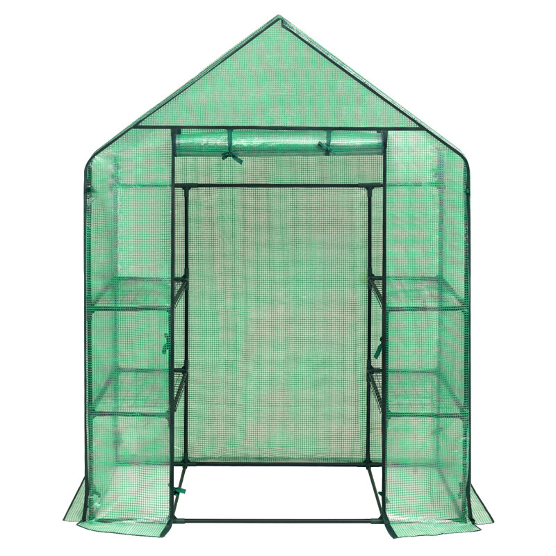 Ellisburg 2.4 Ft W x 4.7 Ft D Mini Greenhouse, Green