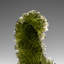 Genuine Moldavite Tektite (16.1 grams)