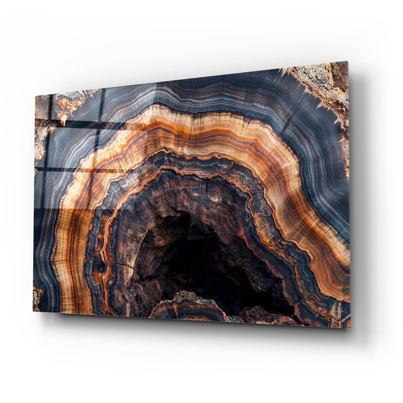 Art mural en verre acrylique épique «Petrified Tree Trunk» par Rich Monet, 24 po x 16 po, H 16 po x l 24 po