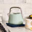 Caraway Stovetop Whistling Tea Kettle-1795050969