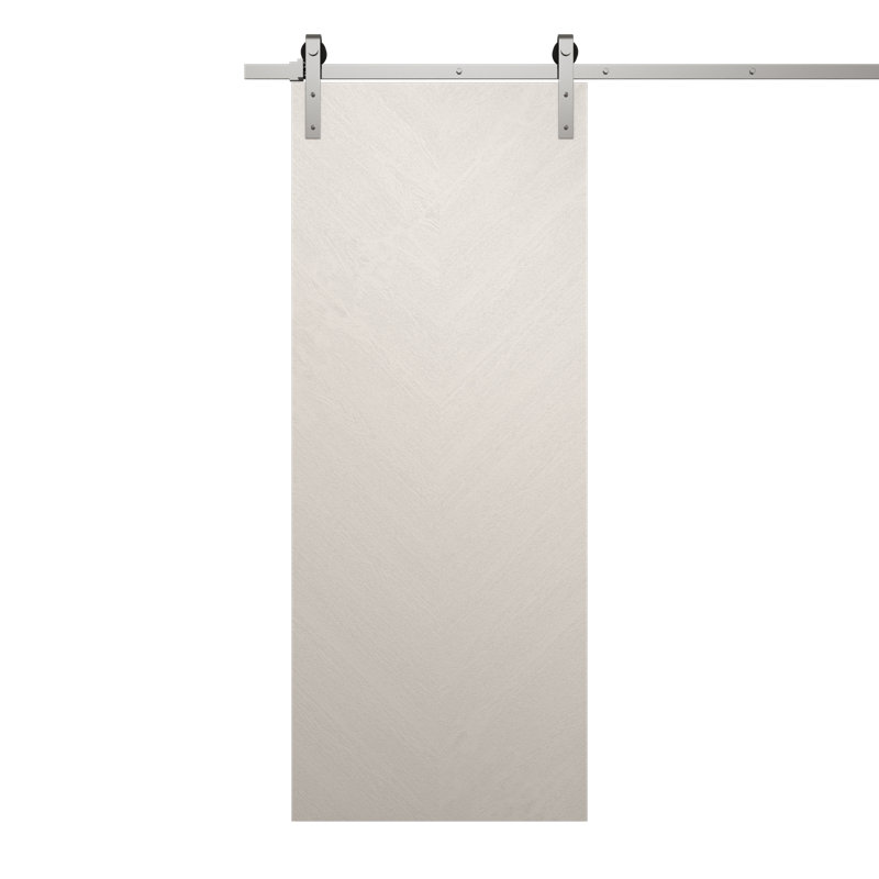 Porte de grange moderne | Ego 5005 | Ensemble de quincaillerie lourde Silver Rail Track | Portes intérieures solides