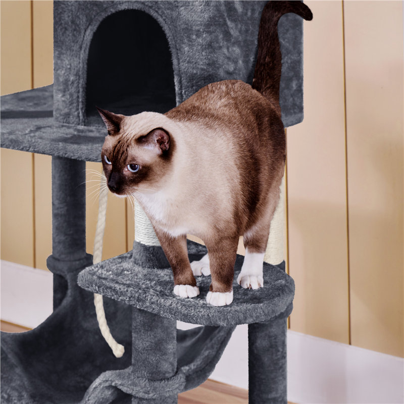 Tonquin 59'' H Cat Tree, Dark Gray
