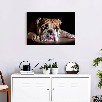 Sad Bulldog