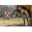 Double Sided 18'' H x 12.5'' W Polyester Animal Garden Flag