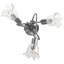 Sharla Glass Semi Flush Mount