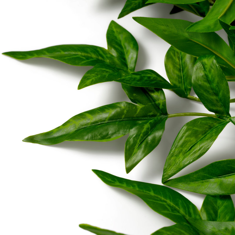 Faux Tender Plant