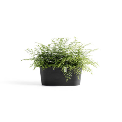 Pot Planter