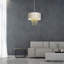 Donahoe 1 - Light Drum Pendant-1935792181