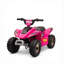 Quad rose 6V à piles pour enfants de 18 à 36 mois, cadre en acier PP, capacité de 44 lb, longueur 28,25