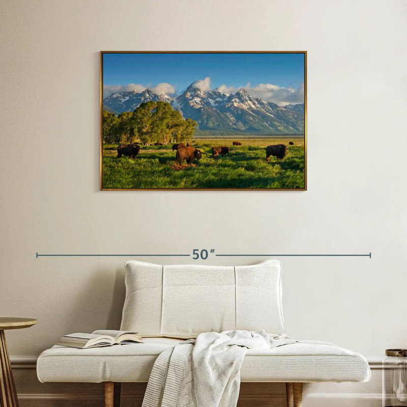 Grand Teton Pasturing Bisons, Floating Frame Gold, 37" X 25"