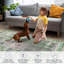 Grand tapis rétro lavable antidérapant 10 x 13 po pour salon, tapis floral pliable pour chambre d'enfant, vert-143939841-143939865