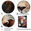 «Eernal Majesty Lion Timless Gaze II», reproduction sur toile-827850569-827850572