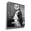  «Napoleon Owl» par John Hovenstine, art mural sur toile, 20 po x 24 po-784912845