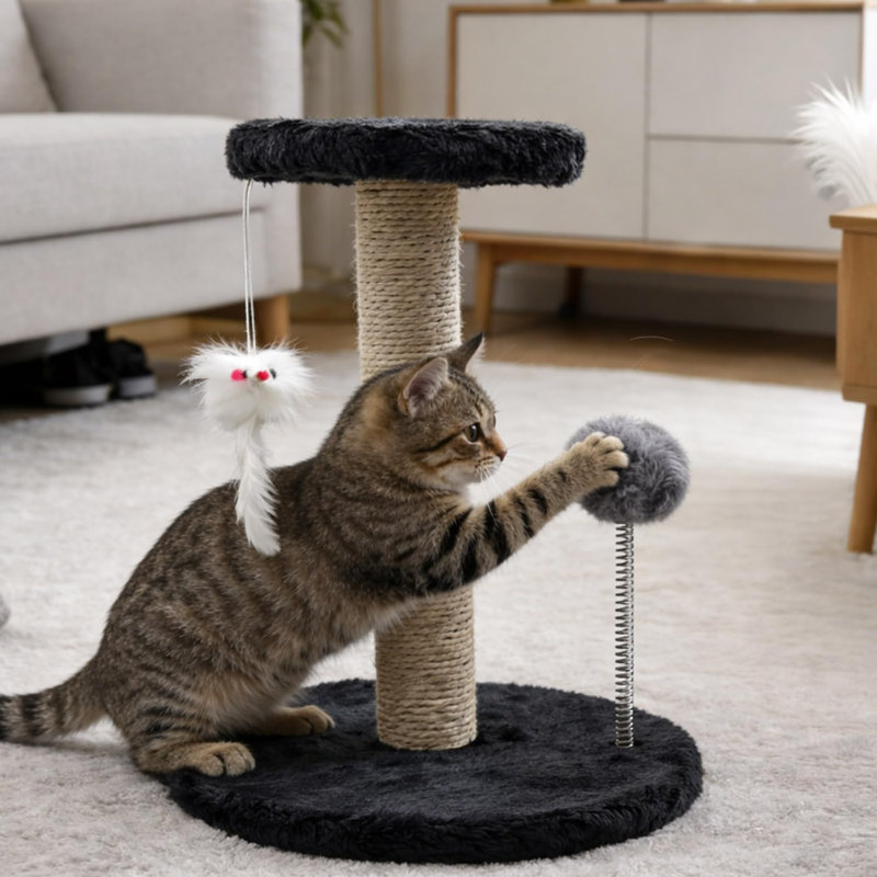Scratching Post