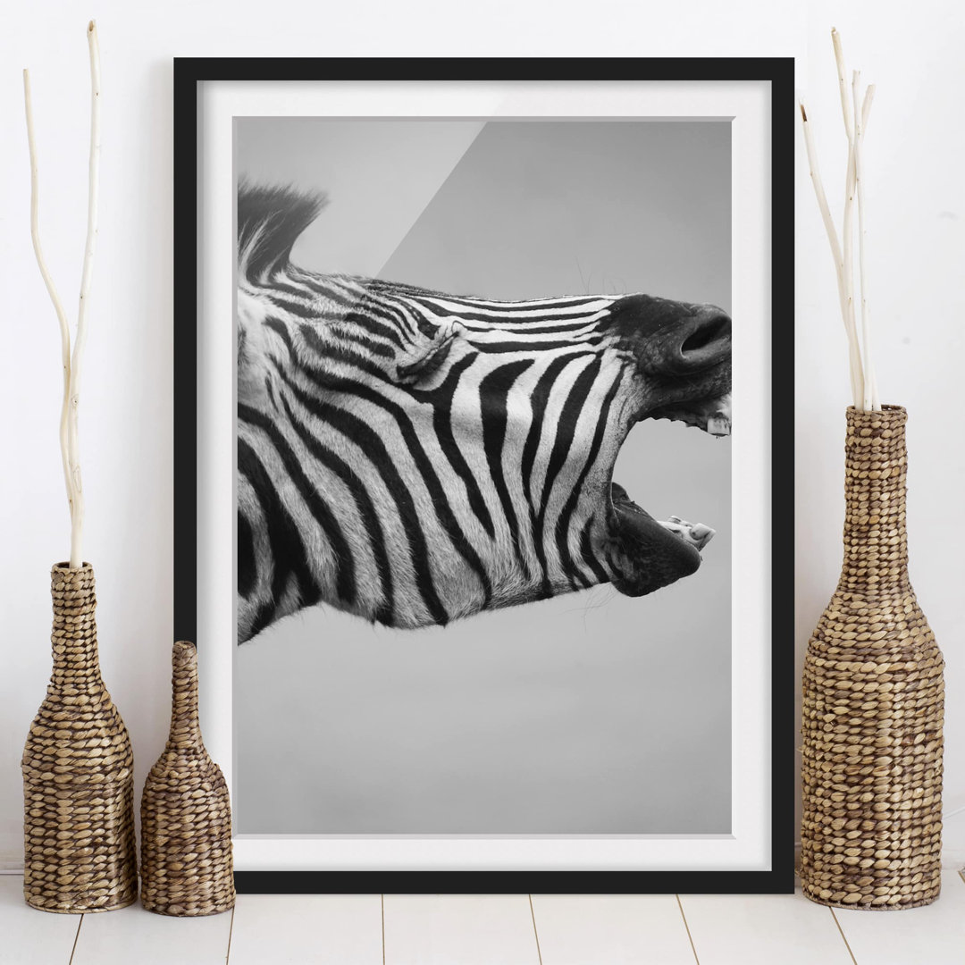 Fotodruck Roaring Zebra II