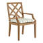 Haley Patio Dining Armchair with Cushions-38582183-38582234-70064514