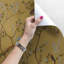 Plumerville Birds Bird Wood Gold Acrylic Fall Romantic Ornament Wallpaper-2075792527