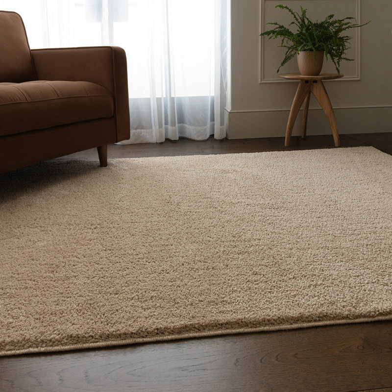 Ronalee Recycled P.E.T Machine Tufted Shag Area Rug, Rectangle 67 x 130 cm, Beige