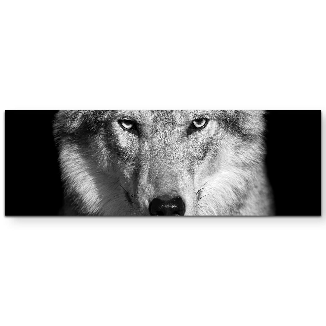 Leinwandbild Portrait – Wolf