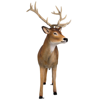 Statue cerf à queue masculine pour forêt