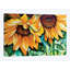 « the tournesol », reproduction sur toile-32894029