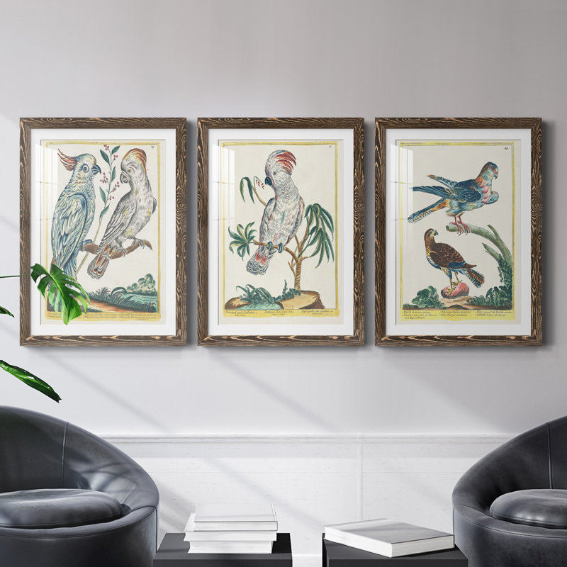 Pastel Birds I Premium encadré mat - prêt à être accroché, H 24 po x l 54 po x P 1,5 po, Noyer