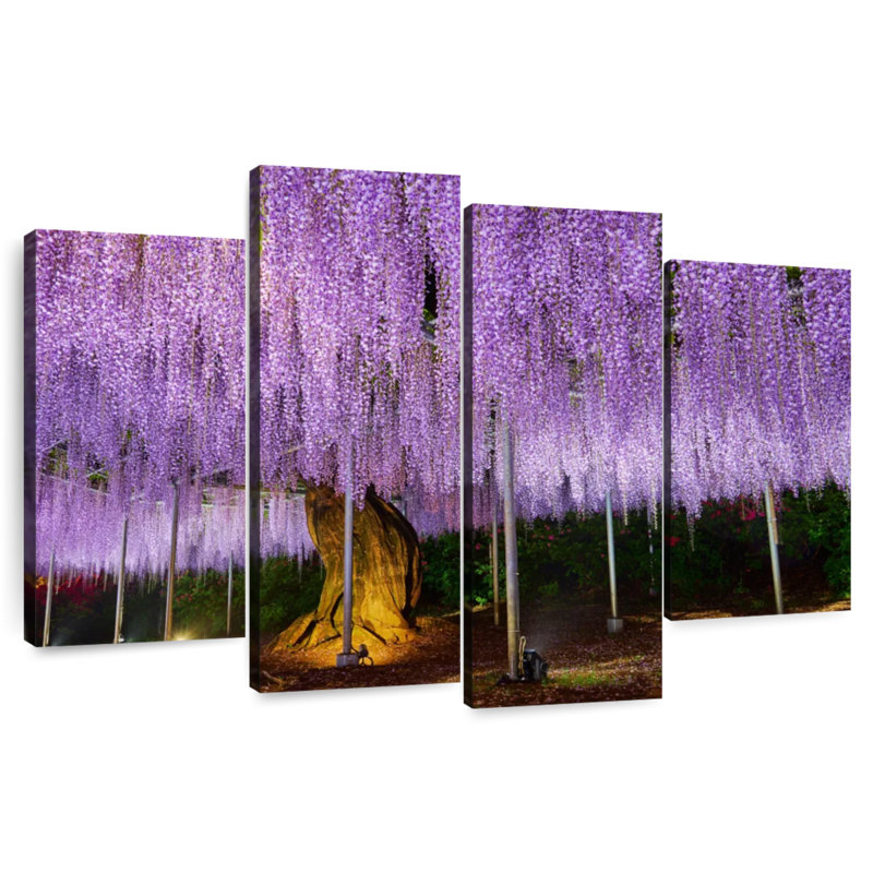 Harnek Wisteria mauve élégant, H 32 po x l 52 po