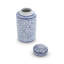 Vrinda Ceramic Decorative Urns & Jars-967632366