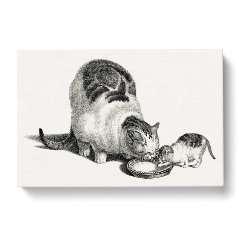 Cat & Kitten Drinking by Gottfried Mind - Wrapped Canvas Drawing Print, 35cm H x 50cm W x 3cm D